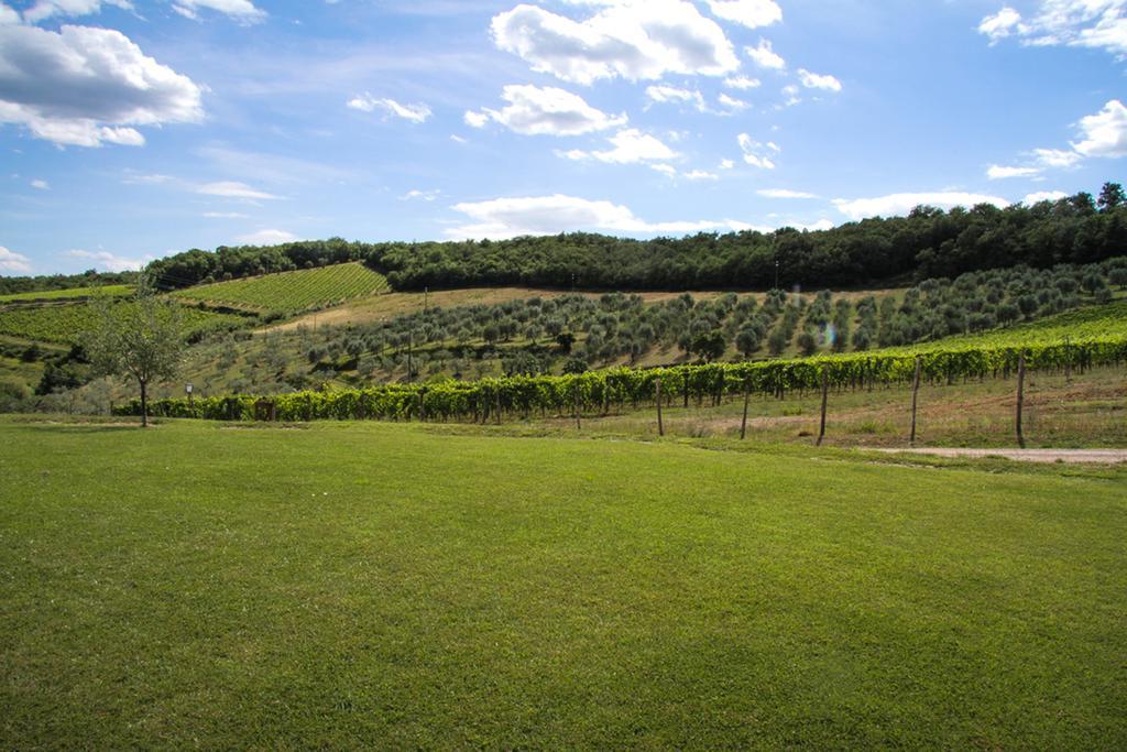 Agriturismo Panzanello Panzano in Chianti Luaran gambar